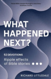 What Happened Next? Ripple effects of Bible stories - 52 devotions